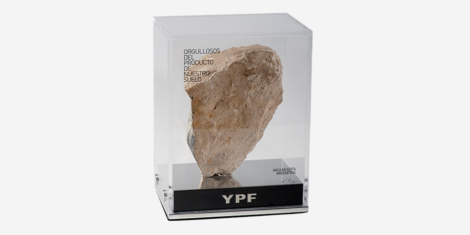Vaca Muerte YPF Prize